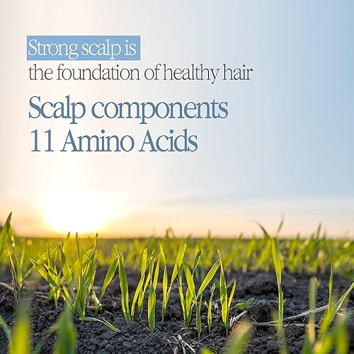 Miniatura 7 de BOQUET GARNI Treatment Ylang Ylang - Acondicionador natural para el cabello con fragancia de larga duración, surfactante natural que proporciona una