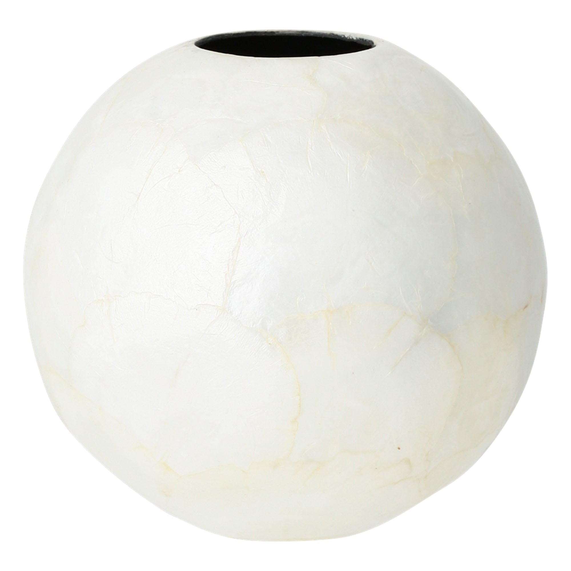 専用フランフラン Amazon.co.jp: Francfranc フランフラン シェル フラワーベース