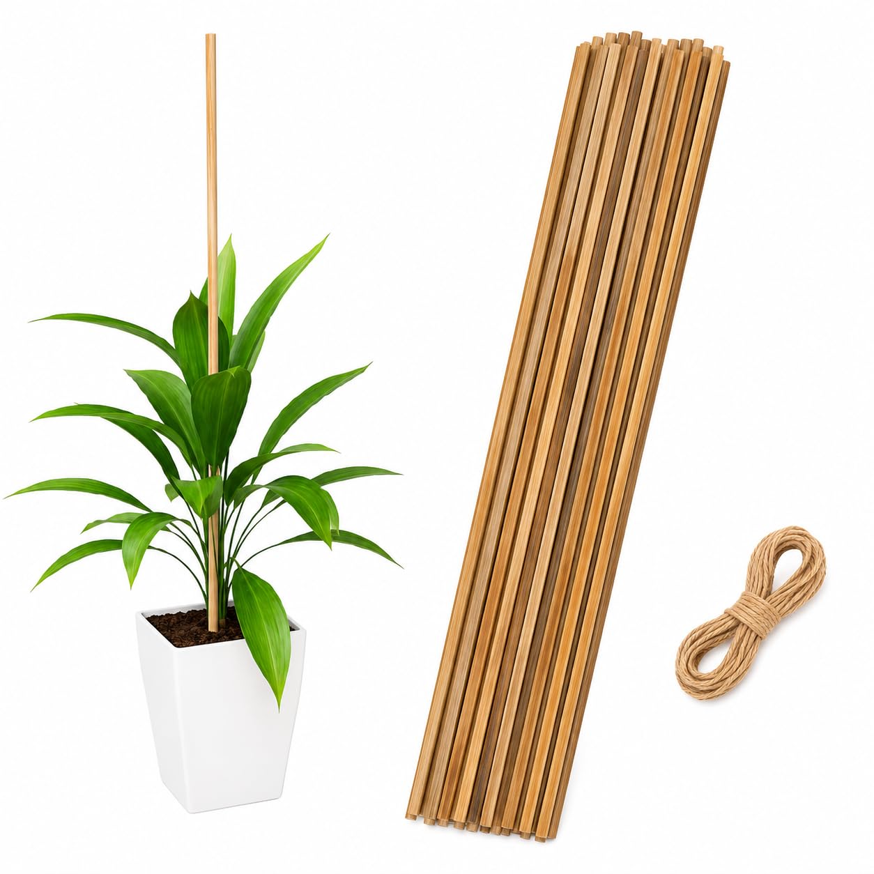 EXALT® Premium Natural Teak Wood Plant Support Sticks - Garden Sticks for Straightening Training and Supporting Plants - Strong and Durable Solution for Healthy Growth (4 Feet 12 pcs)-image-32
