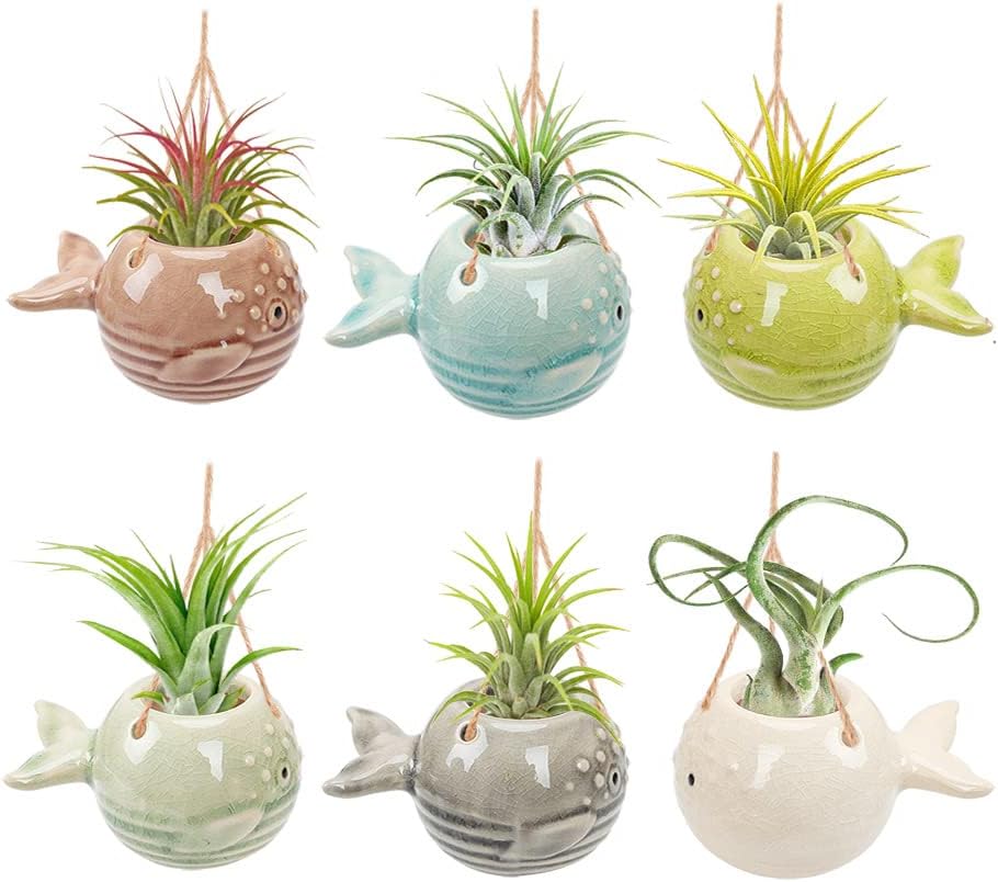 6 Pack Air Plant Holder Unique, Cute Pufferfish Air Plant Hanger Wall Planter, Ceramic Tillandsia Airplants Holders Hanging Wall Decor for Home Office (Pufferfish-Small (3.2 x 2 in))