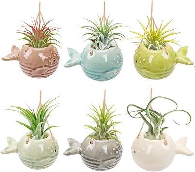 6 Pack Air Plant Holder Unique, Cute Pufferfish Air Plant Hanger Wall Planter, Ceramic Tillandsia Airplants Holders Hanging Wall Decor for Home Office Pufferfish-Small 3.2 x 2 in