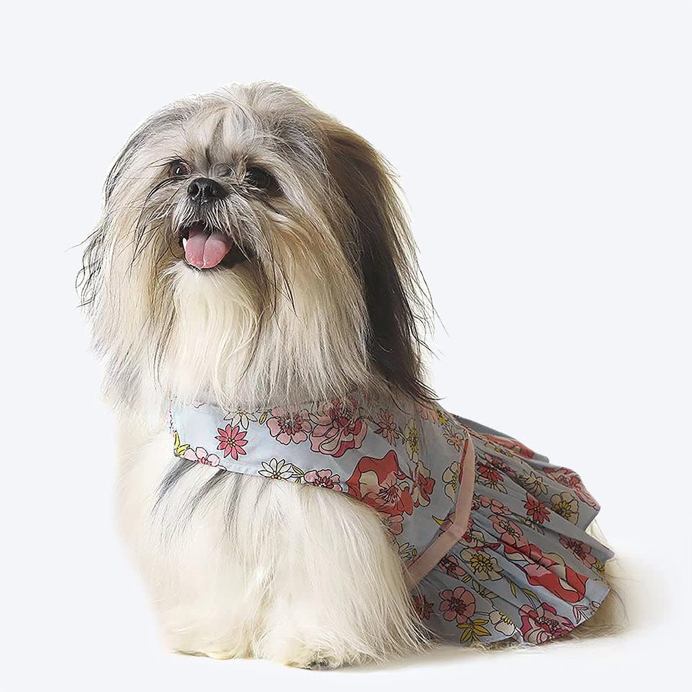 HUFT Floral Dog Dress Blue (B0BS1LBNP6) Amazon Price History, Amazon Price Tracker