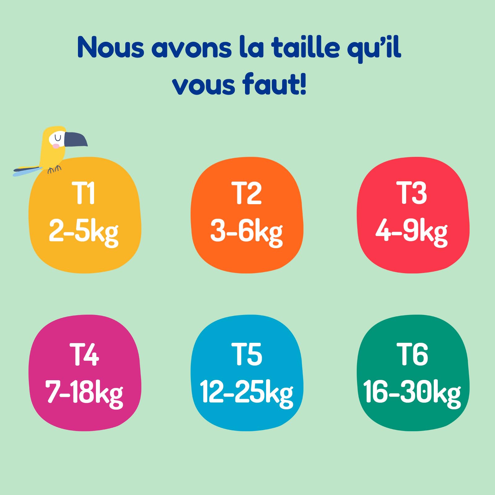 CARRYBOO Couches Taille 5 (12-25kg) Peaux sensibles Ultra absorbantes 12h Anti-fuites Fabriquées en France 120 Couches Pack 1 Mois