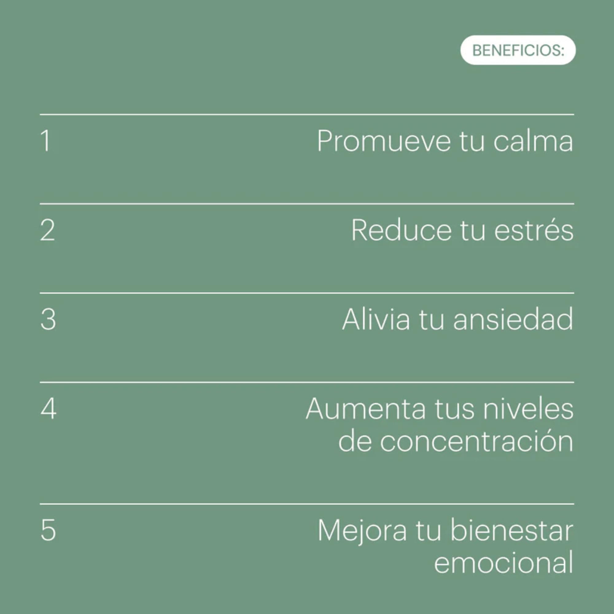 Ashwagandha y Magnesio Soporte para el Cortisol + Vitamina B6 + Ginkgo Biloba + Reishi - Nootrópicos Naturales para Promover Calma + Memoria y Concentracion 60 Cápsulas Veganas | be calm - be levels
