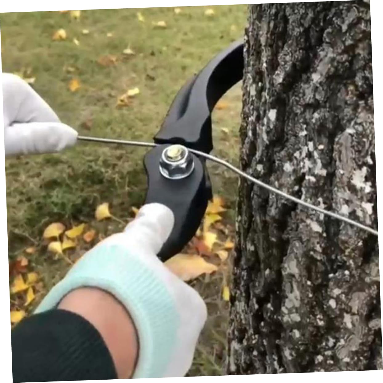 Tenditore per Recinzioni in Acciaio, Manico per Filo Liscio, e Filo Spinato, per Giardino e Recinzioni Agricole