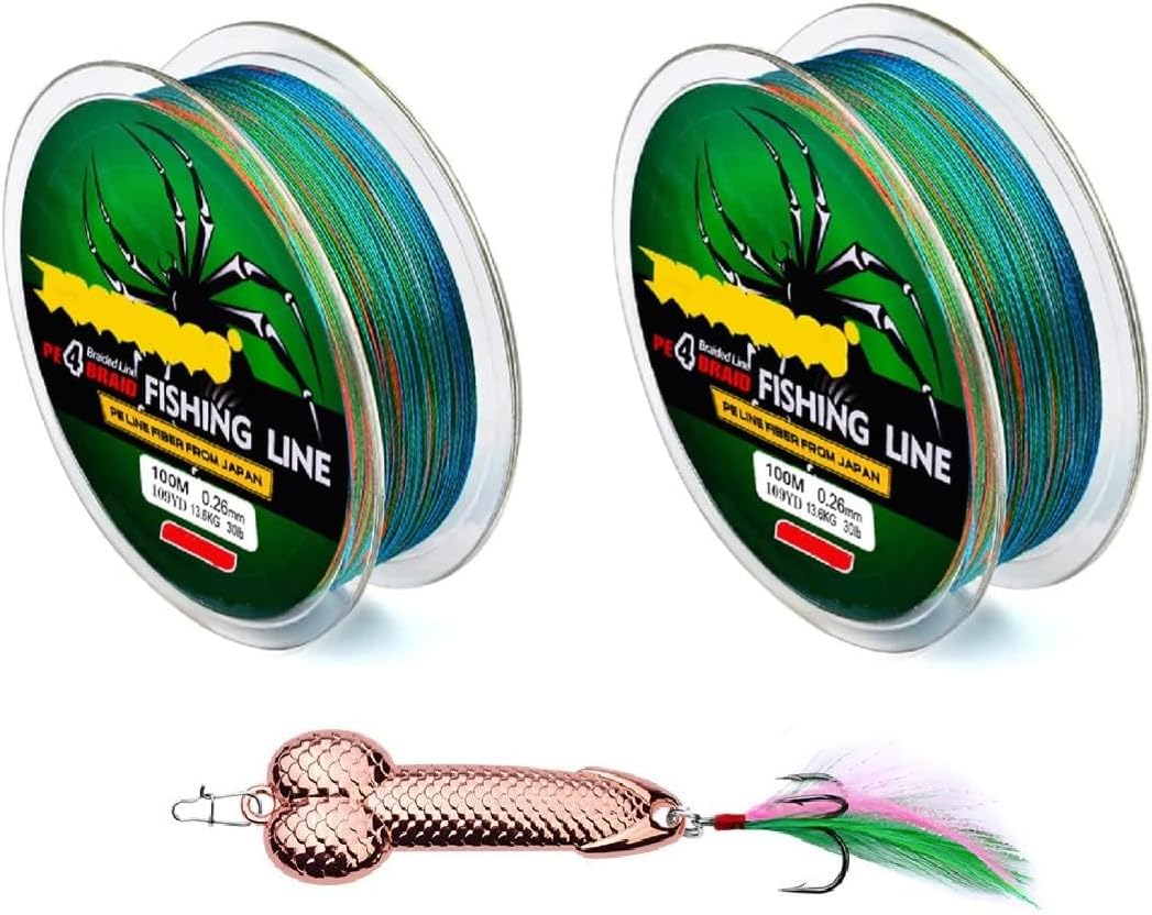 2Pcs Braided Fishing Line 4 Strands, with Hard Fish Lure, 109yards Multicolored PE Wire, 6LB/8LB/10LB/15LB/30LB Braided Wire for Saltwater Fishing (6LB/15LB)