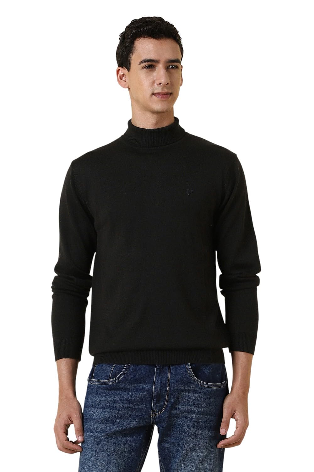 allen solly Men Sweater-picture-21