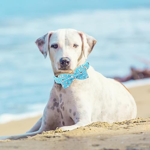 Miniatura 6 de Lionheart glory Collar de perro con lazo azul con lazo estampado de tiburón, collar para perro niño o niña, collar ajustable suave y duradero para
