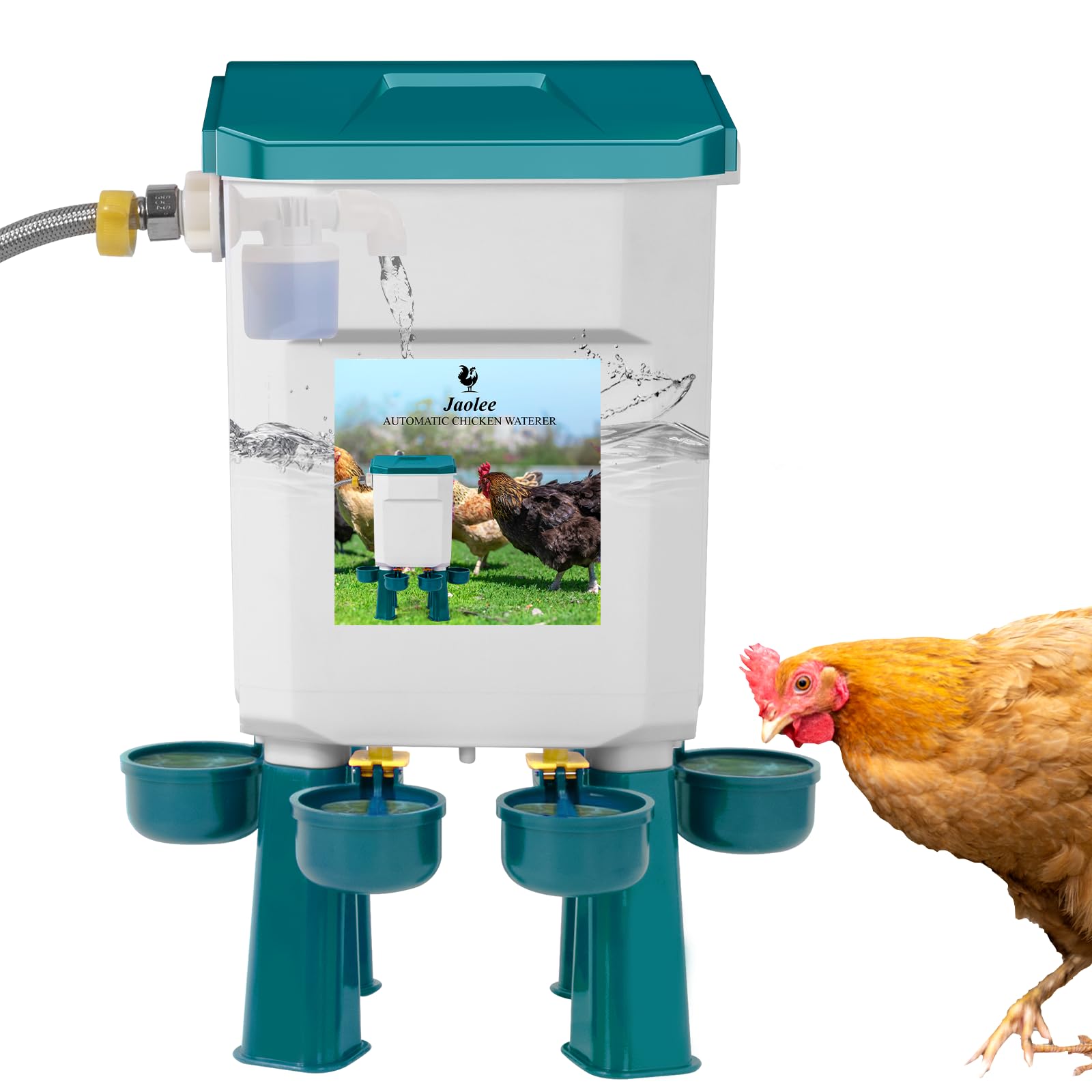 Bebedero automático de pollo, alimentador de agua de pollo controlado por flotador, sistema de riego grande con manguera de agua de 60 pulgadas (un extremo de 3/4 pulgadas), bebedero de aves de corral