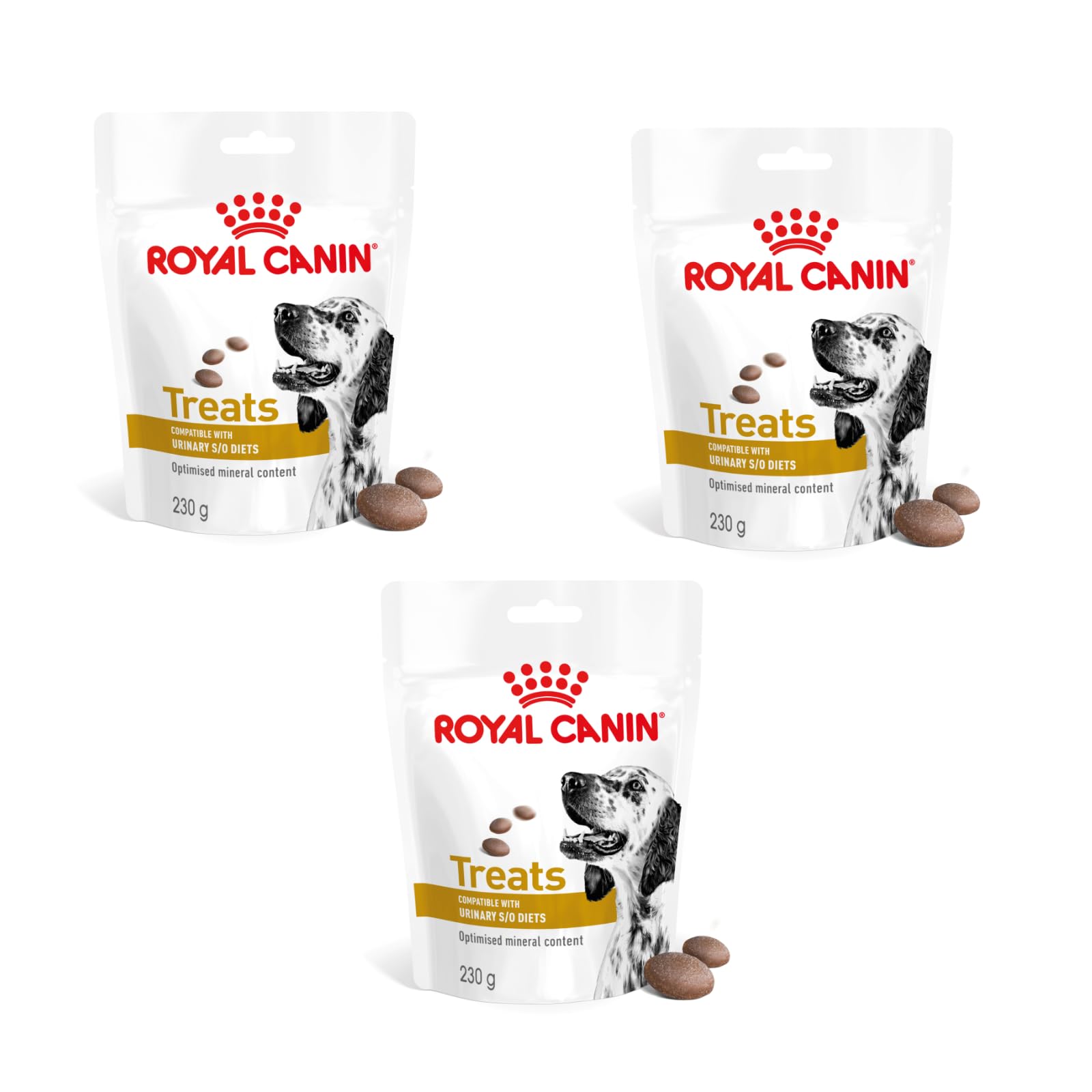 Royal Canin Royal Canin Starter Mother & Babydog Mini