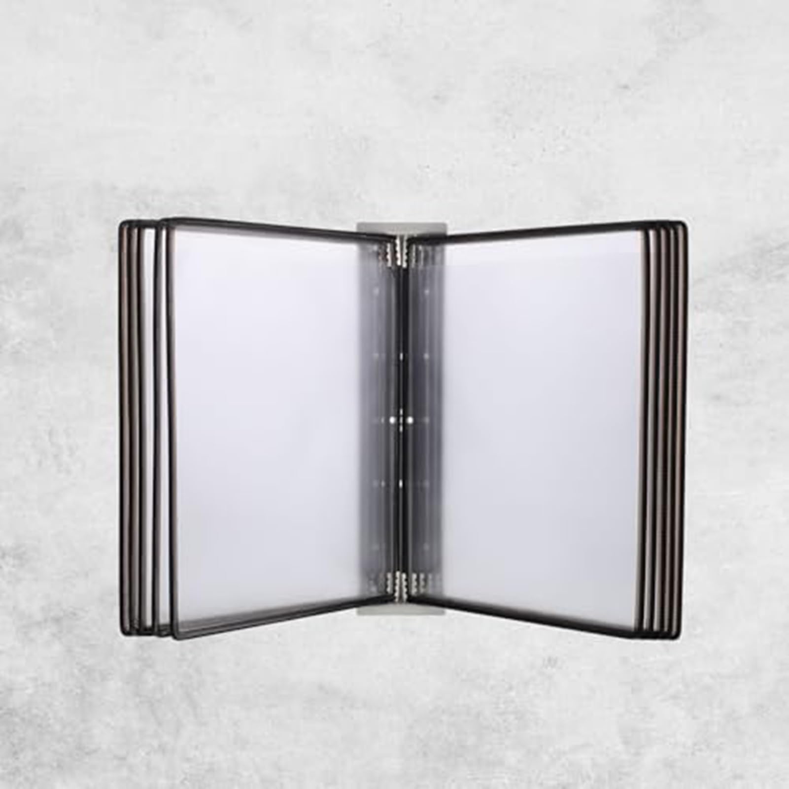 MYUYEE Wall Mount Reference Organizer - Desktop Flip Display Folder, File Organizer For Desk,10 Double-Sided Display Pockets, Desktop Document Holder,Catalog Display Rack
