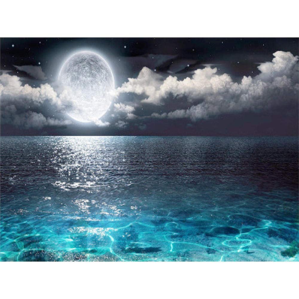 Peinture diamant clair de lune décoration salon broderie mer nuit 40x50