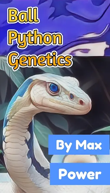 The Fascinating World Of Ball Python Genetics: Unlocking The Secrets Of ...