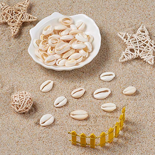 Craftdady 18-20Mm Natural Spiral Sea Shell About 340Pcs Undrilled Cowrie Beach Seashells For Summer Ocean Jewelry Making Fish Tank Vase Filler Decor #TOP4