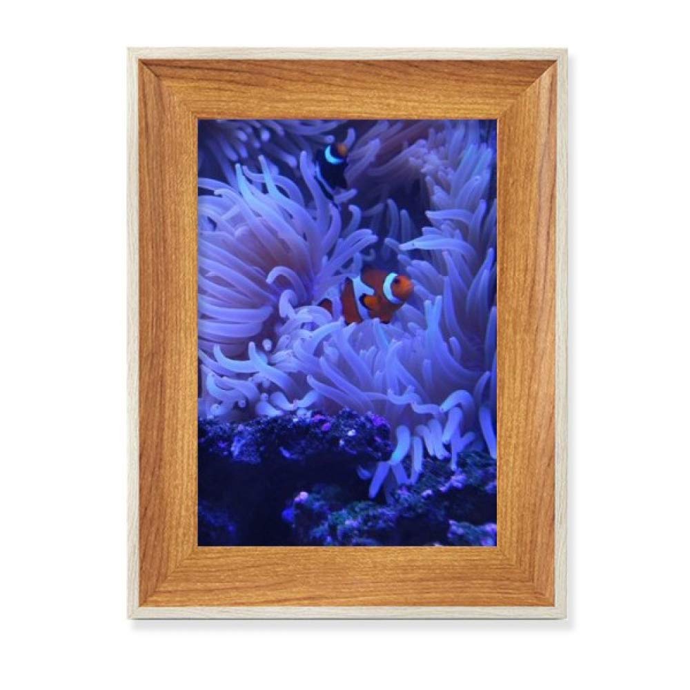 Cadre de photo en bois ocean anemone poisson coral science nature art
