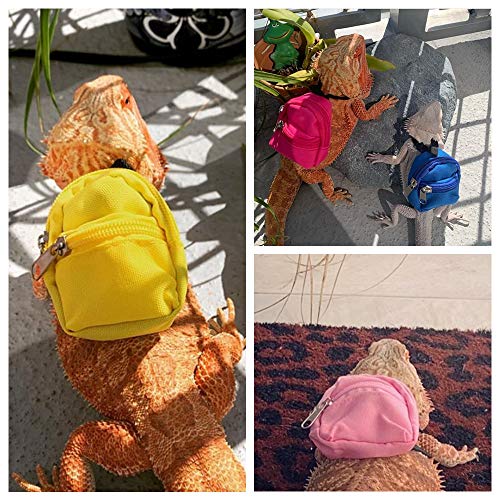 Mochila de lagarto para dragões barbudos, mochila escolar e conjunto de livros, acessórios de vestuá