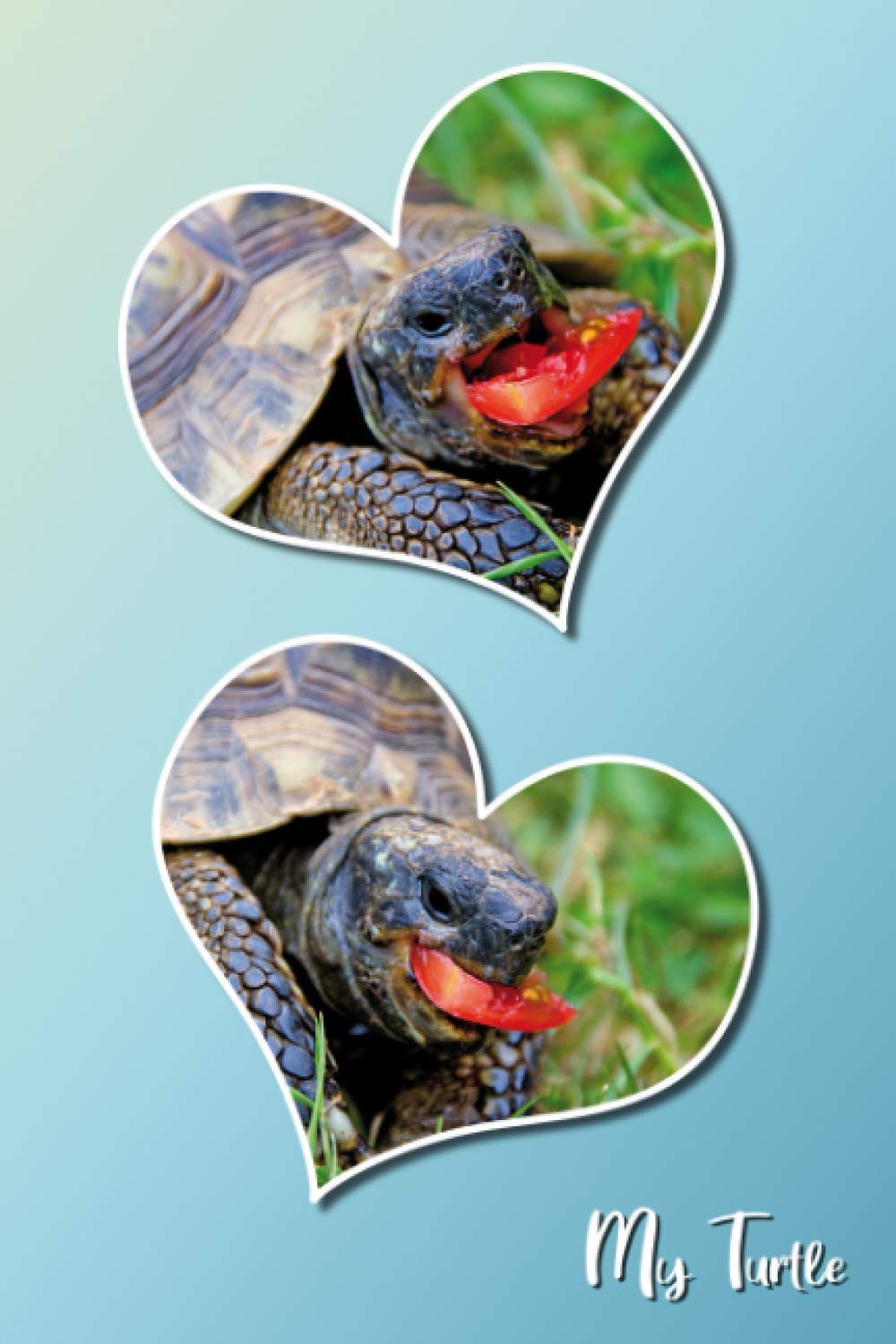 My turtle: Lovable turtles. Care for turtles. Turtle notebook, gift for turtle breeders, terrarium friends. Gift for turtle friends. Format 15.24 x ... 120 pages. Notebook, Journal, glossy cover