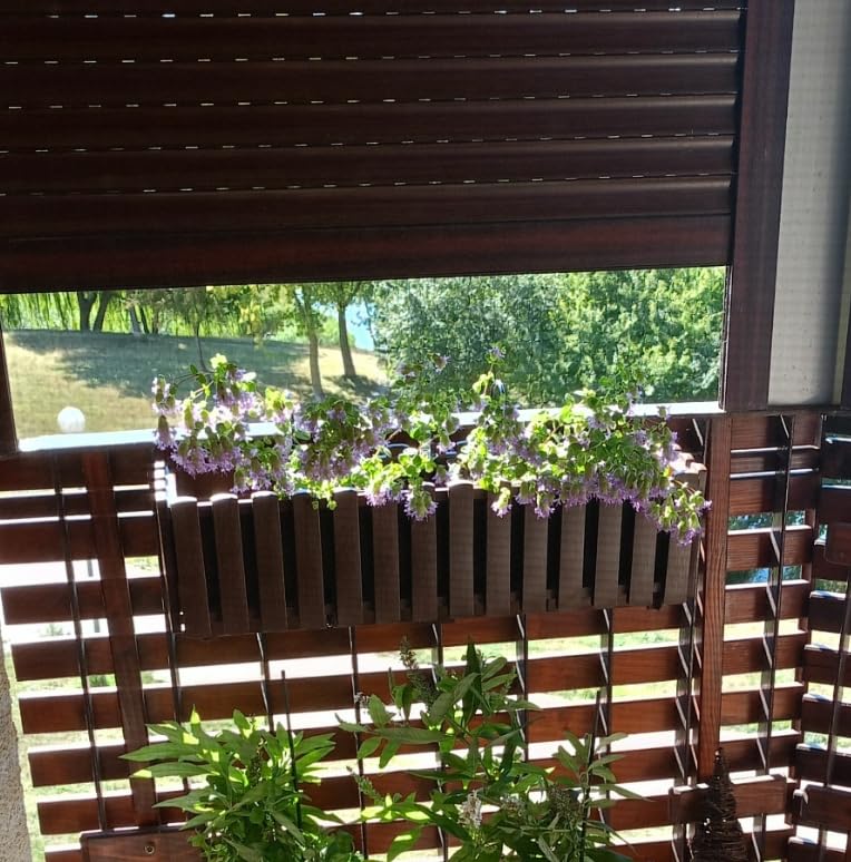 View 6