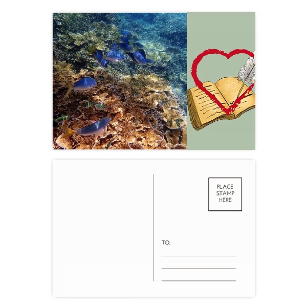 Ocean Colorful Fish Science Nature Picture Diary Day Lot de 20 cartes postales de remerciement