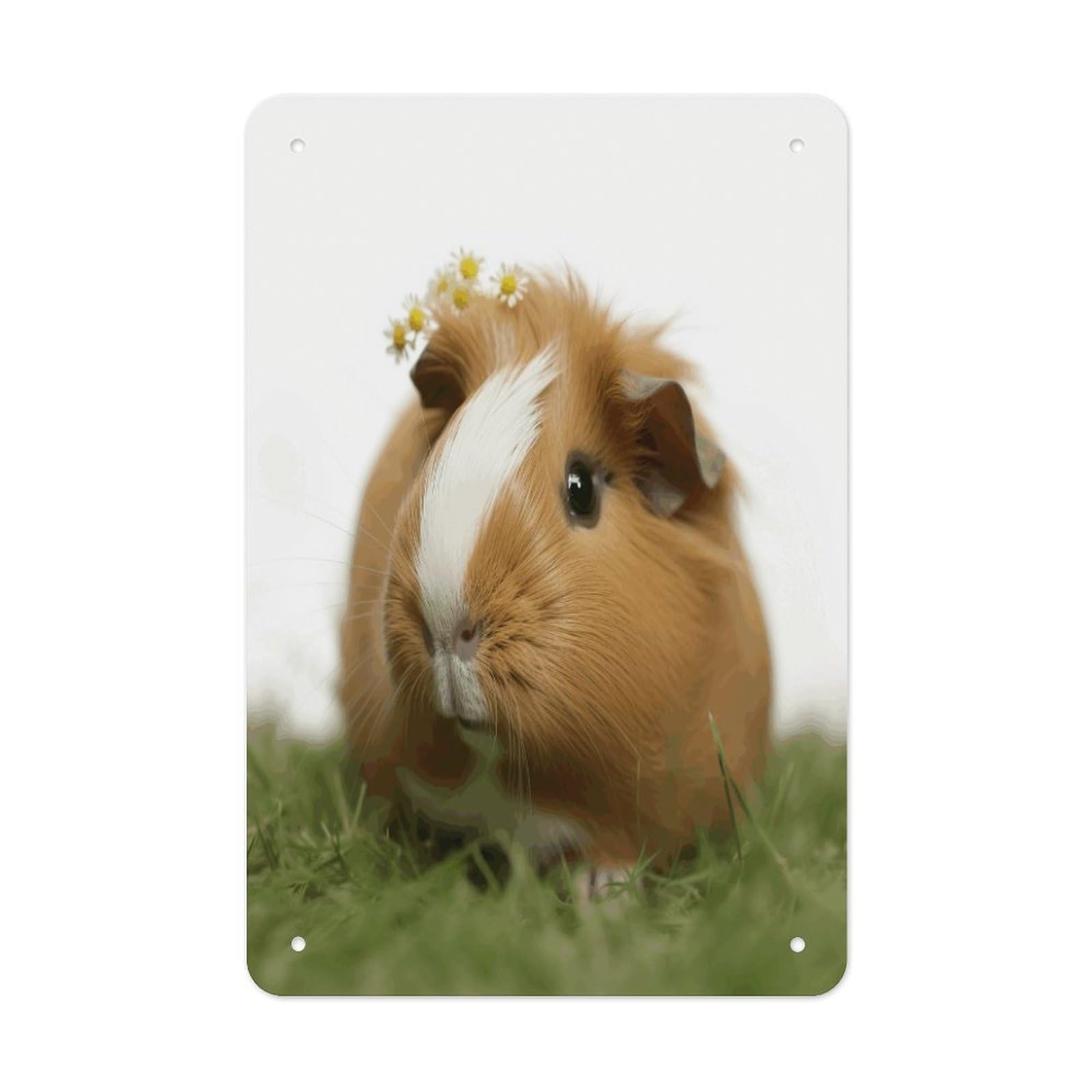 Btcowzrv Style Guinea Pig Metal Tin Sign Wall Decor Hanging Plaque