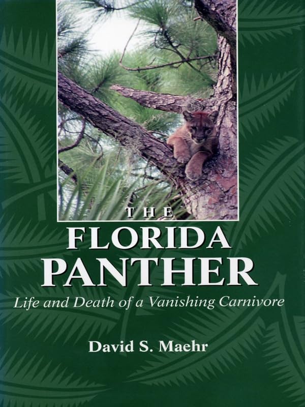 The Florida Panther: Life And Death Of A Vanishing Carnivore