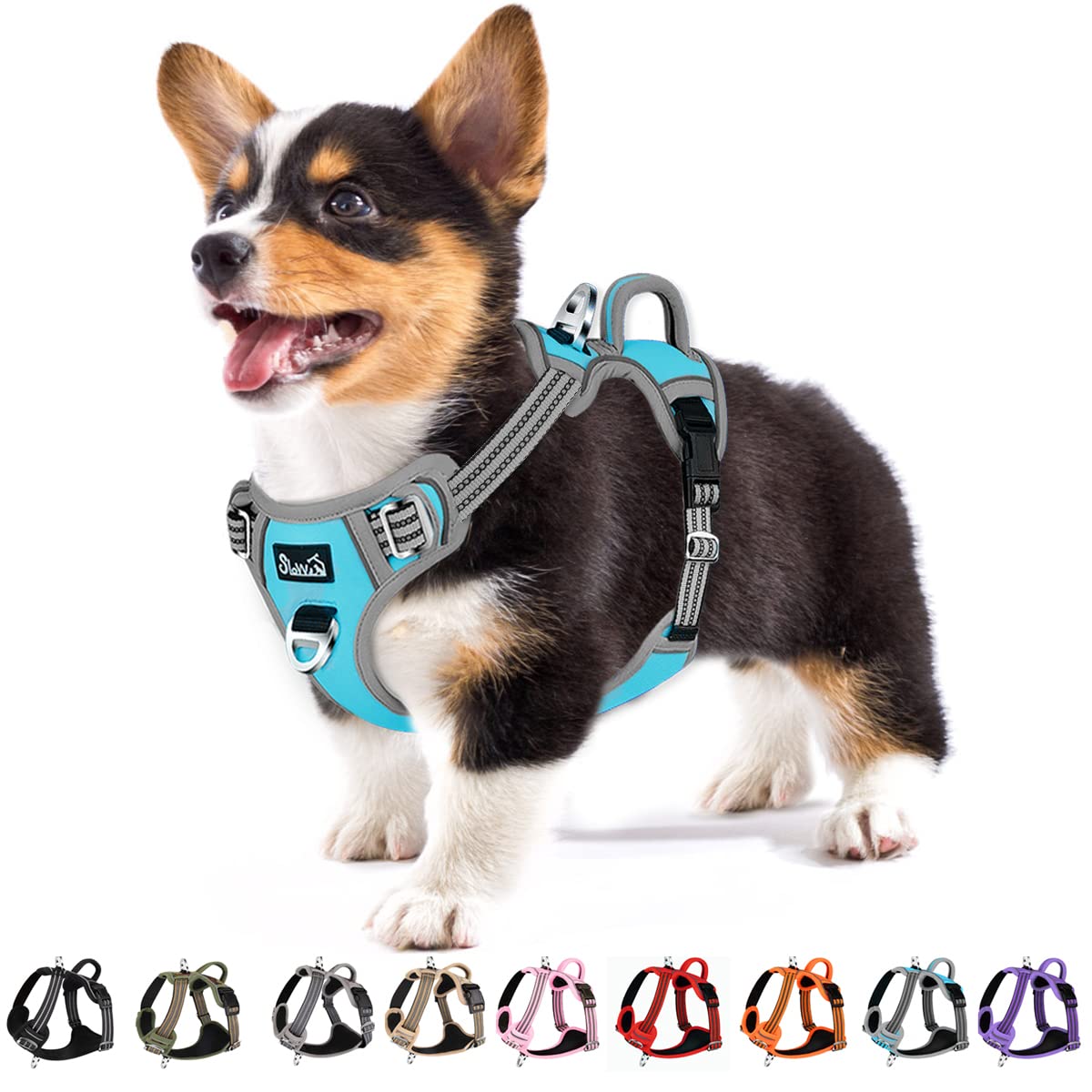 Eyein Dog Harness Small Dog, Anti Pull Adjustable Heavy Duty Pet Vest Harness with 2 Clips, Easy Control Escape Proof Puppy Harness with Soft Padded Handle Reflective for Outdoor Training Walking, S