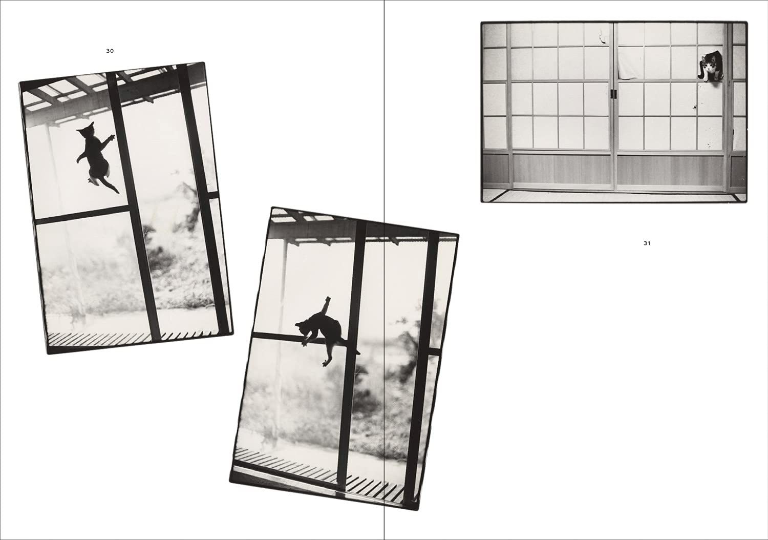 Sasuke - Masahisa Fukase