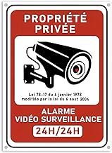 kinoco Lot de 1 18x13 cm Panneau Avertissement Surveillance Vidéo "Propriété Privée" en PVC Rigide Adhésif + 4 Colliers | Intérieur/Extérieur Résistant | Installation Rapide sans Perçage