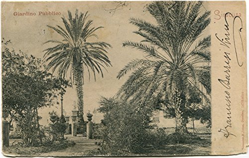 1903 Siracusa Giardino Pubblico Palme Monumenti Basses Alpes Digne FP B/N VG Cartolina Postale