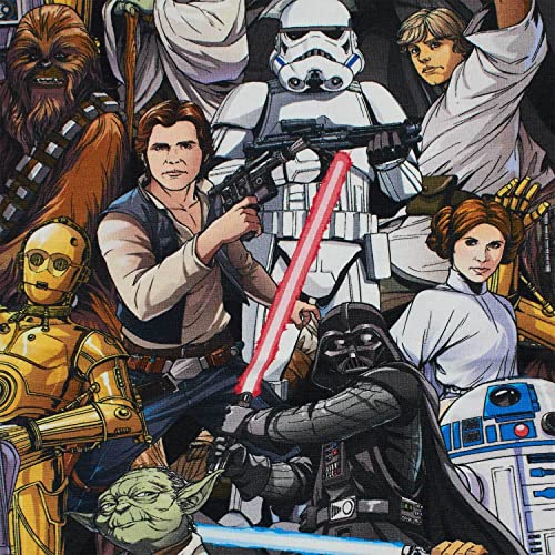 Fitzibiz Jersey Stoff Star Wars, Charaktere, mehrfarbig (50cm x 150cm)
