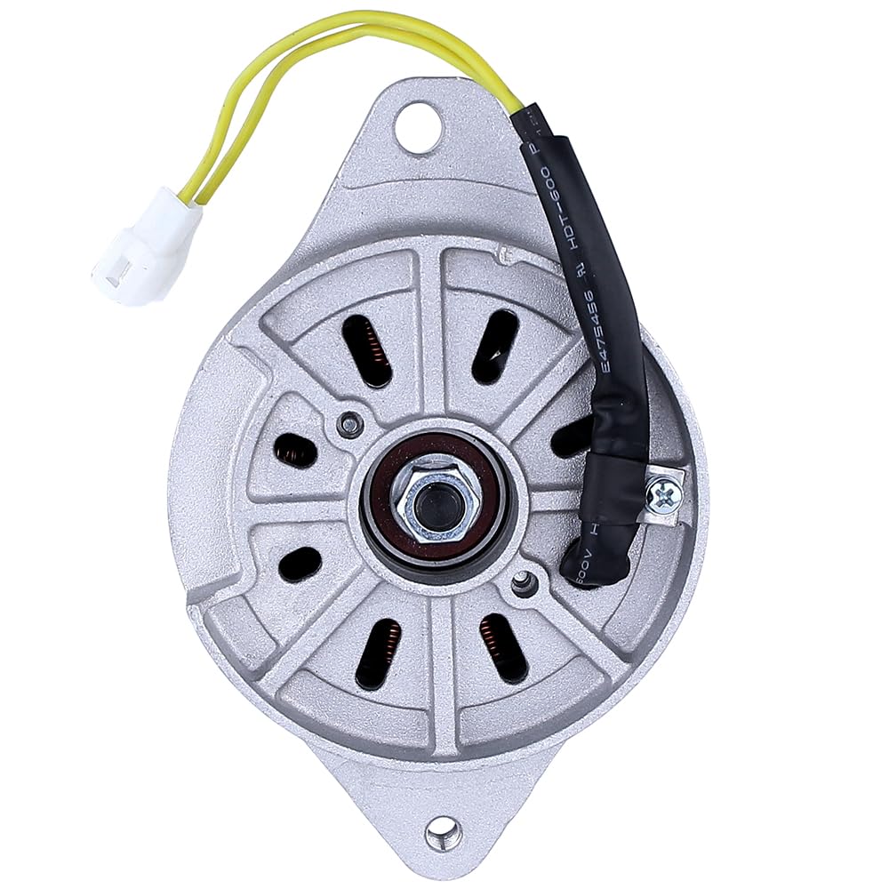 Amazon | RAREELECTRICAL 12V 20アンペア 永久磁石