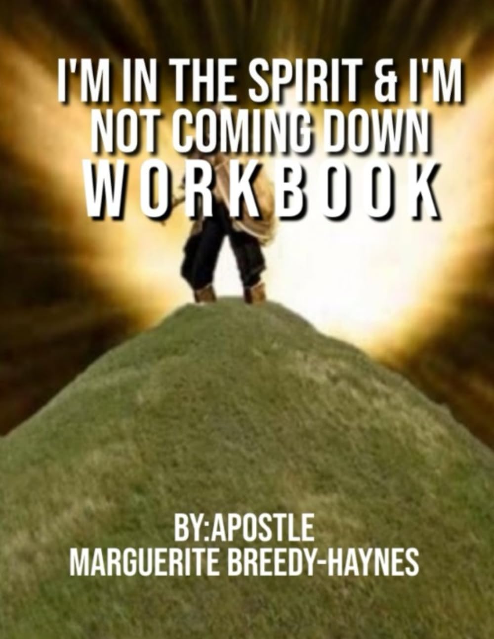 I'm In The Spirit & I'm Not Coming Down Workbook
