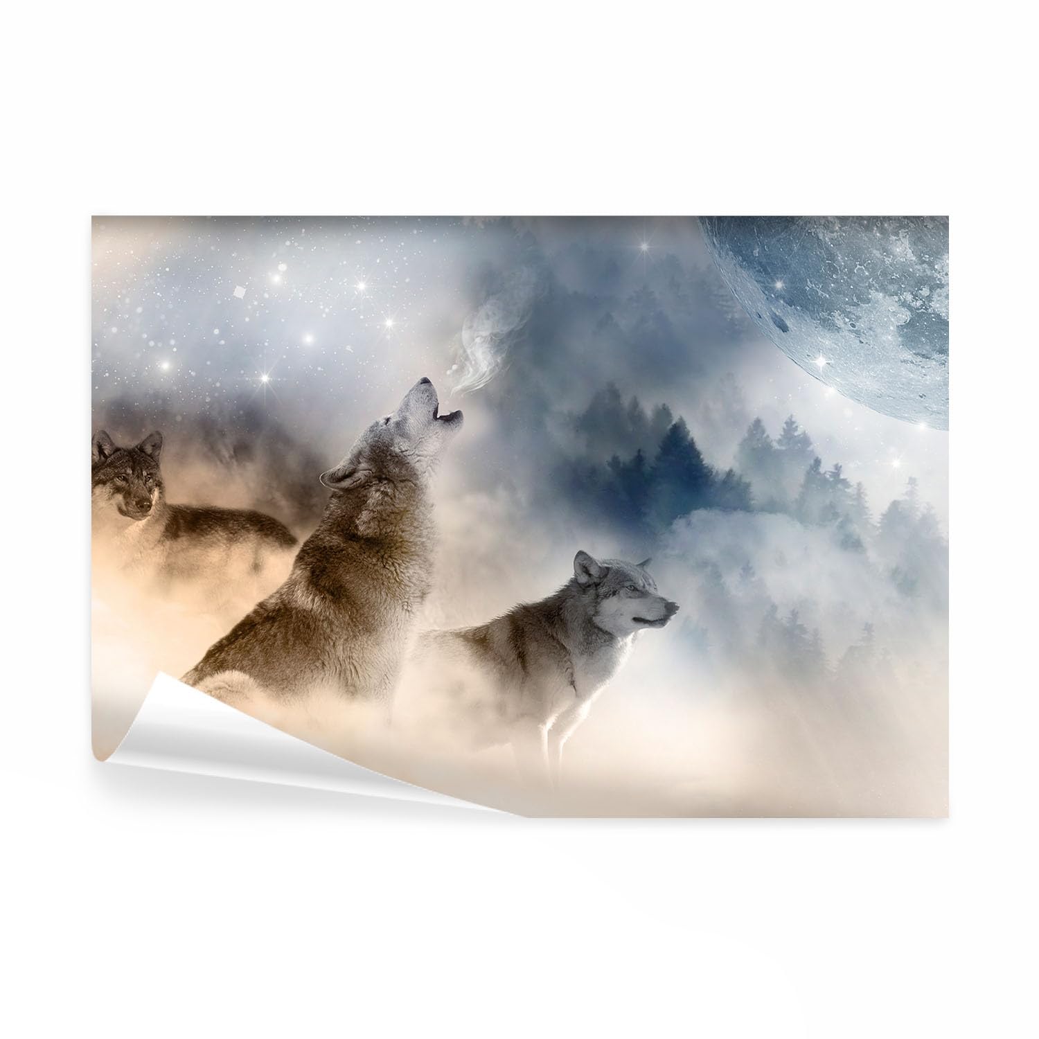 decomonkey Papier Peint Panoramique Animaux Loup 350x256 cm