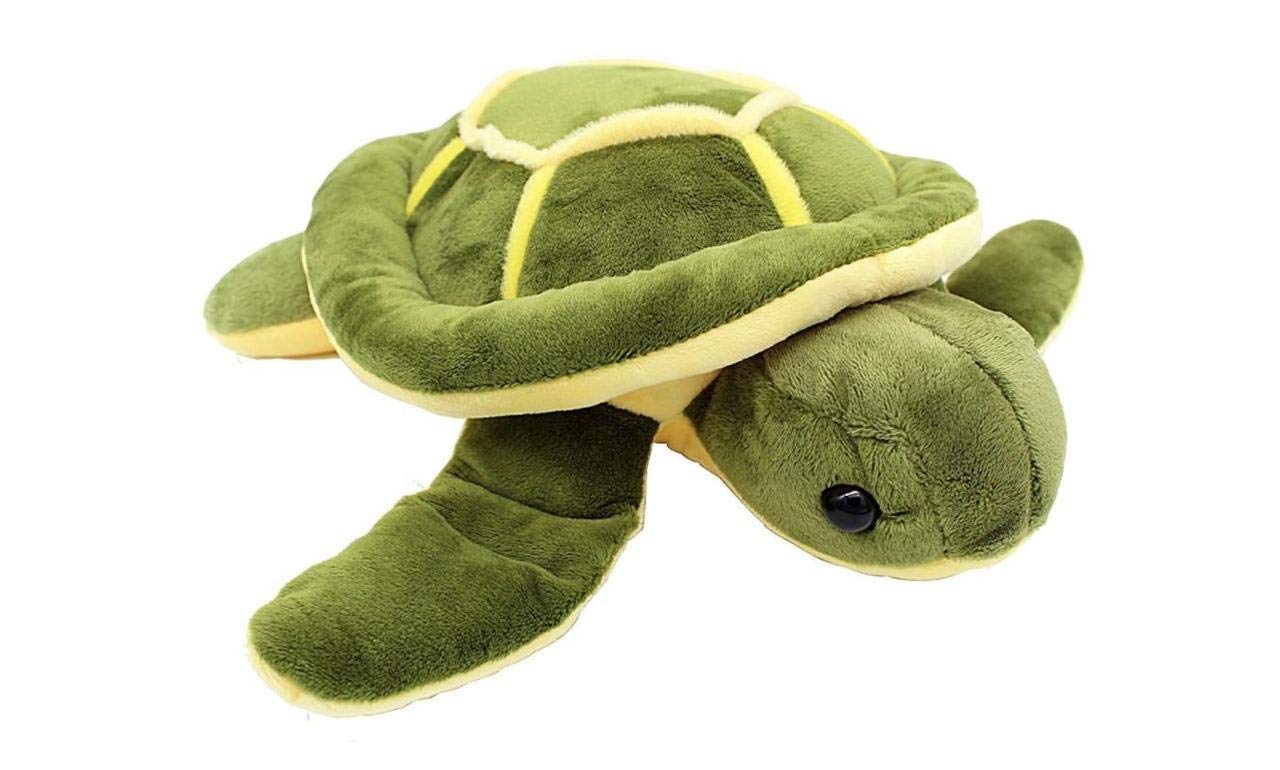 CONCEPT RACING Green Turtle Soft Stuff Toys for Kids, Children, Baby Girls, Stuff Animals Soft Toys - 25 cm (B09767SVY3) Amazon Price History, Amazon Price Tracker
