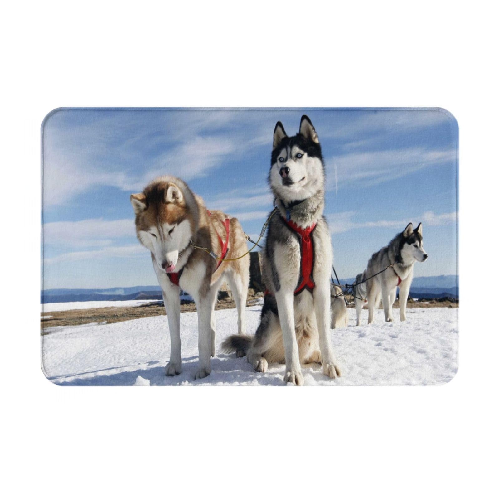 Amazon | 玄関マット カーペット シベリアンハスキー かわいい犬 犬柄