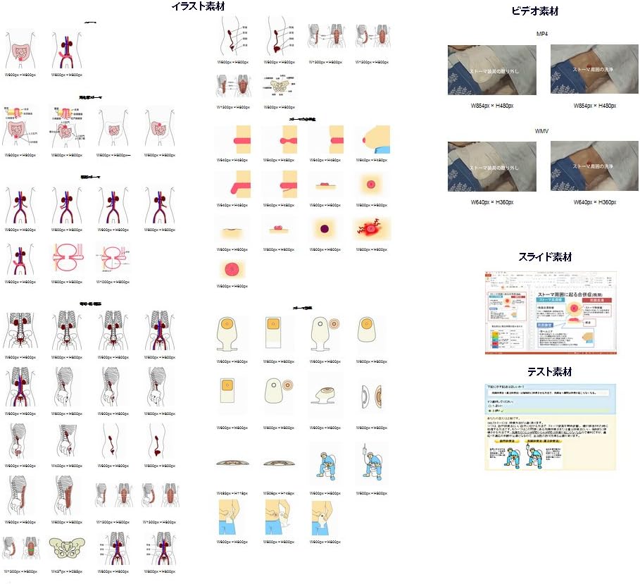 Amazon ストーマケアｅラーニングコース 教師 研修指導者版 能力開発 Pcソフト