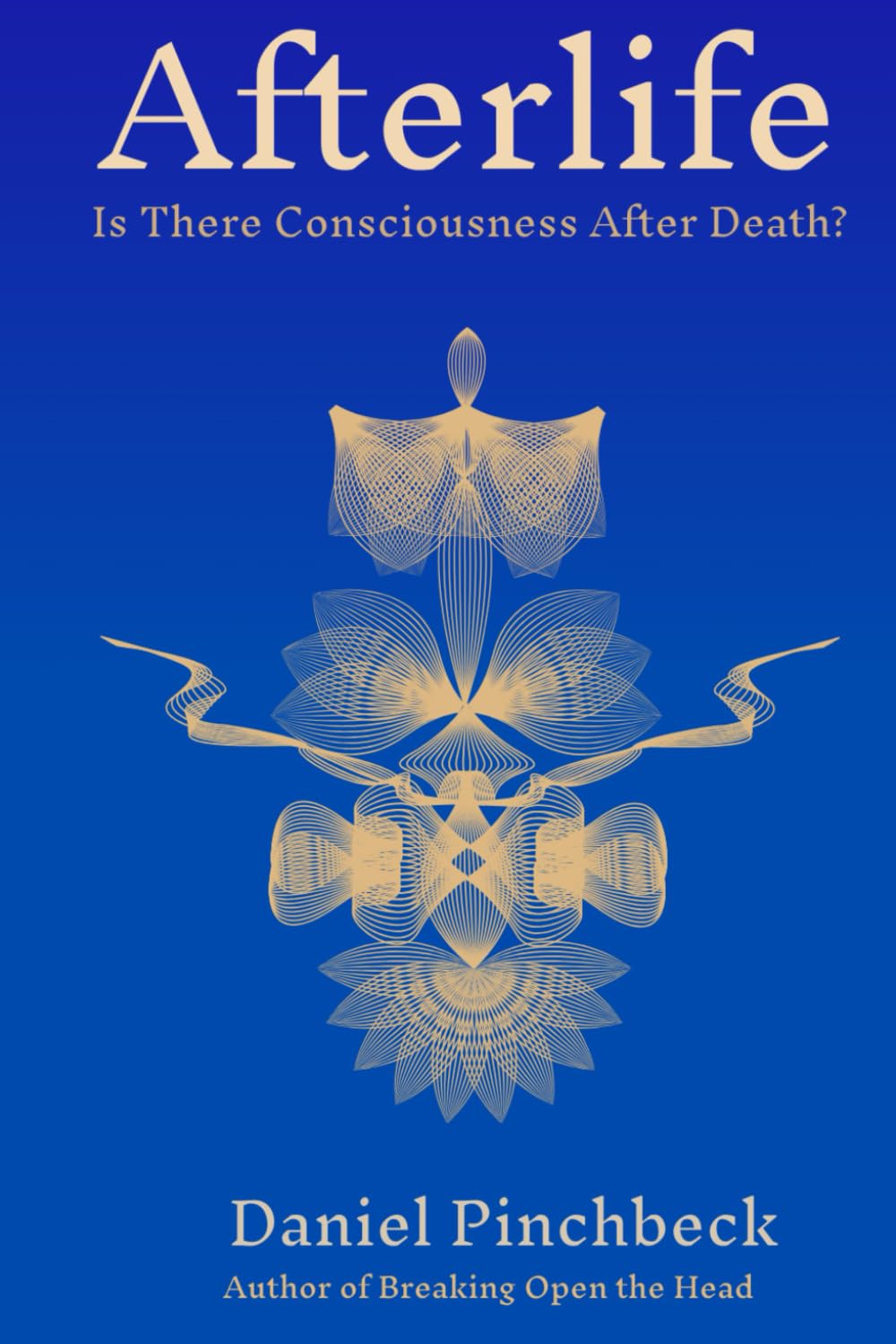 Afterlife: Is There Consciousness After Death?