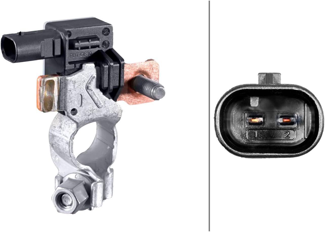 HELLA Intelligent Battery Sensor (IBS) For Select 2018-2022 Buick/Cadillac/Chevrolet/GMC Models, 012767171