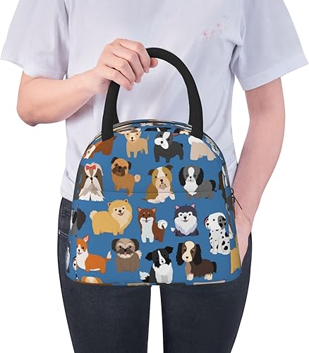 Miniatura 6 de Fiokroo Bolsa de almuerzo aislada con aislamiento para cachorros y perros, lonchera reutilizable para escuela, trabajo, universidad, viajes al aire