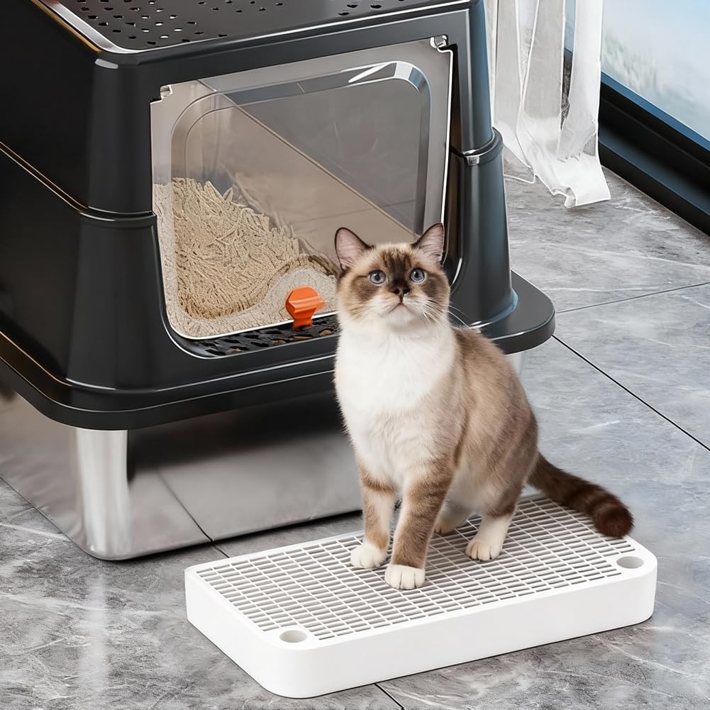 Lettiera per gatti con funzione filtro per gattini e gatti anziani, 32 x 16 x 4 cm, colore bianco