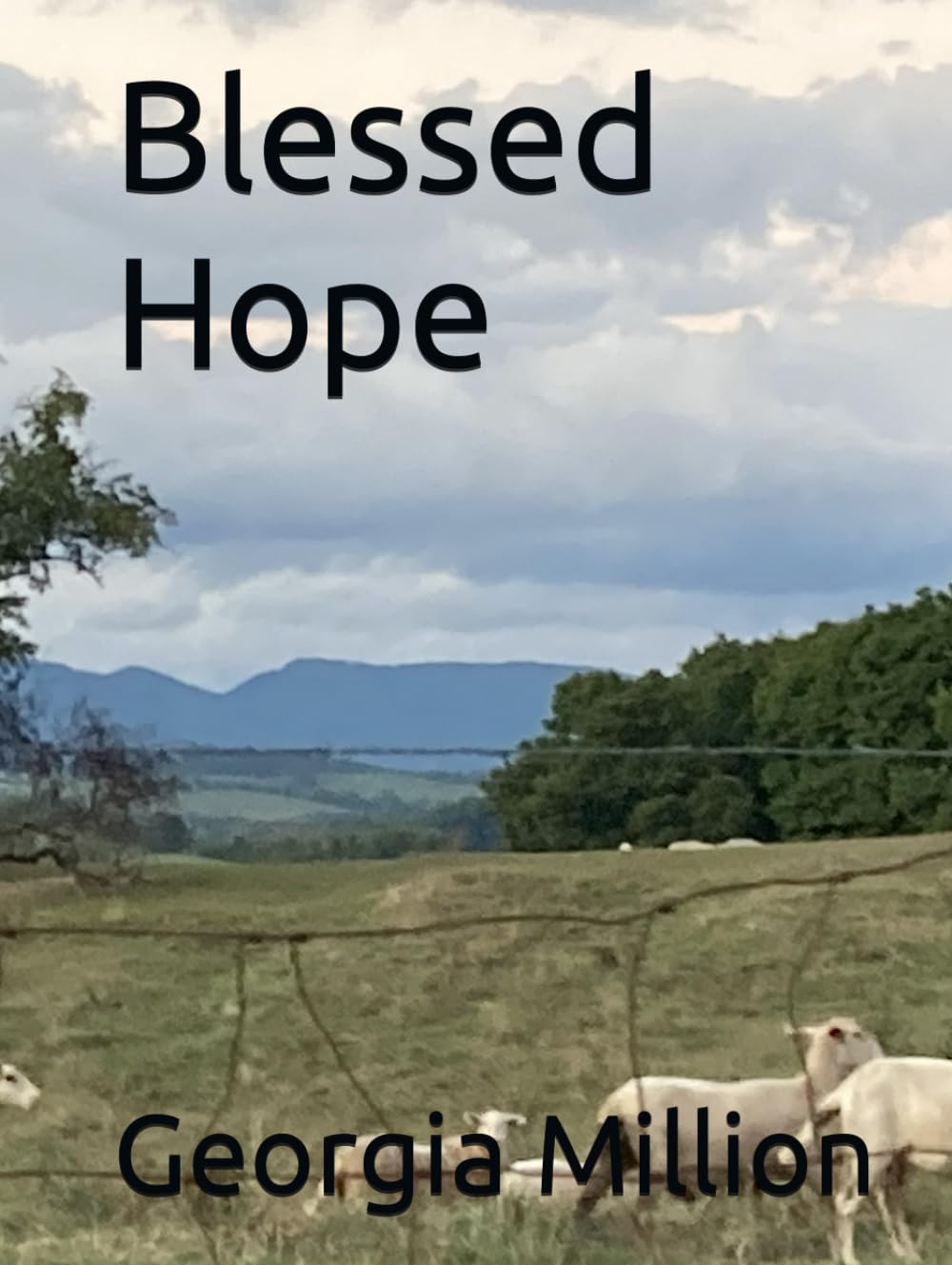 Blessed Hope