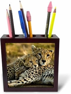 3dRose ph_71059_1 Cheetah with Cub in The Masai Mara Gr, Kenya-AF21 JMC0167-Joe and Mary Ann McDonald-Tile Pen Holder, 5-Inch