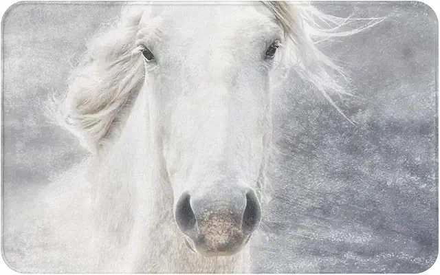 Paillasson Camarguais Absorbant et Antidérapant, 49 x 80 cm