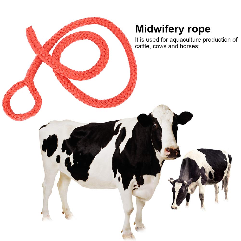 Durable Farm Livestock Cow Obstetric Midwifery Apparatus Delivery Rope Accessory Nylon Material Red 97cm 38in 60g 2.1oz for Cow Cattle Horse Livestock Delivery