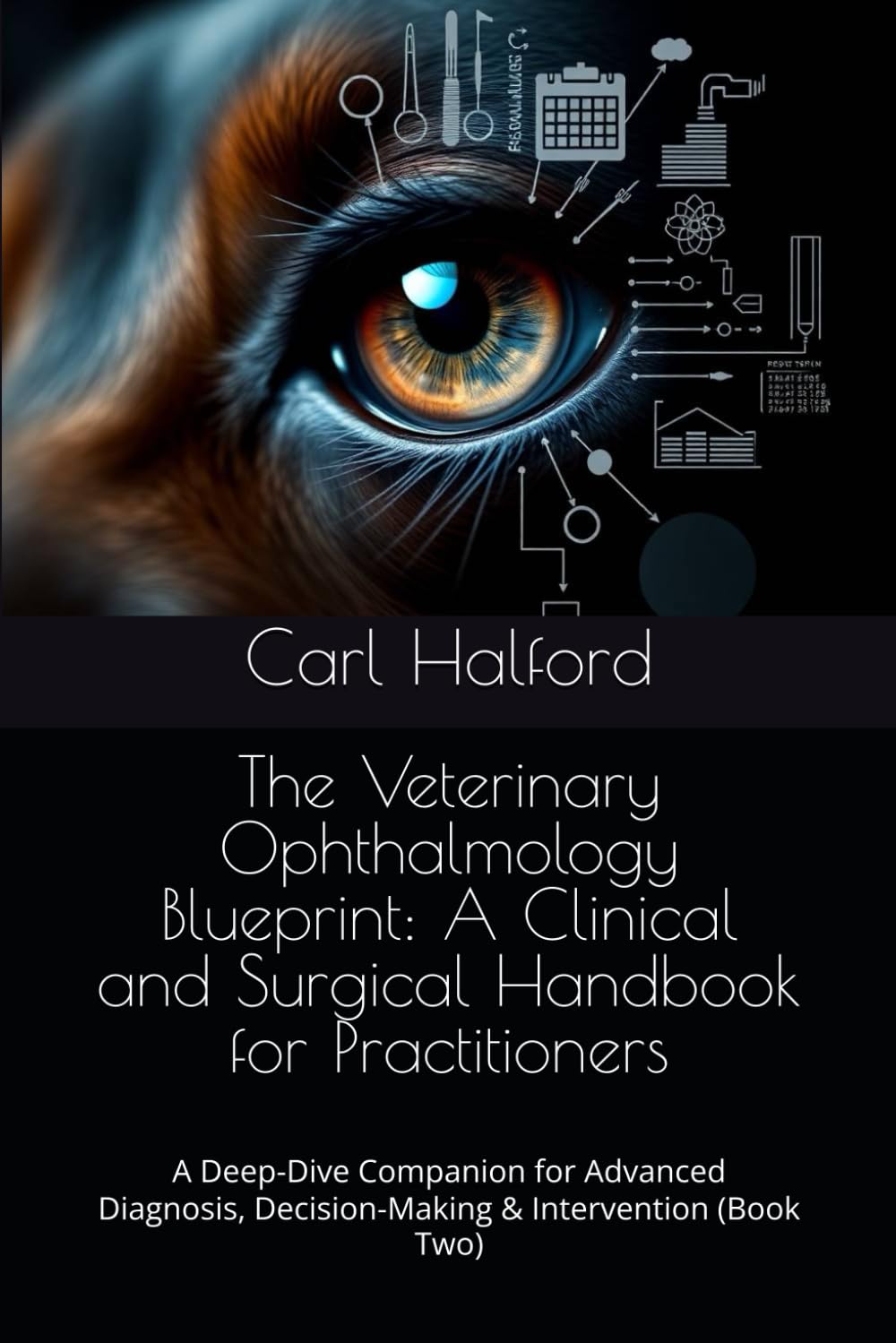 The Veterinary Ophthalmology Blueprint: A Clinical and Surgical Handbook for Practitioners: A Deep-Dive Companion for Advanced Diagnosis, Decision-Making & Intervention (Book Two)