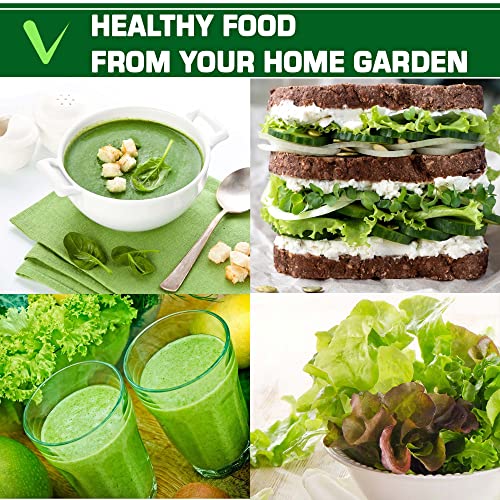 Assorted Collection Of Spice Herb And Green Lettuce Seeds - Non Gmo Usa Grown - 34 Heirloom Varieties For Hydroponic Indoor And Outdoor Planting - Salad And Tea Seeds For Home Growing #TOP7