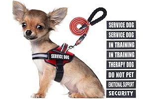 Animiere Service Dog Vest Harness and Leash Set