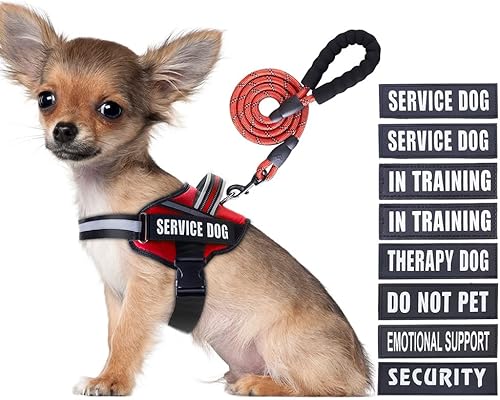 Juego de arnés y correa de chaleco para perro, animire en entrenamiento con 8 parches para perro, correa reflectante para perro con mango acolchado