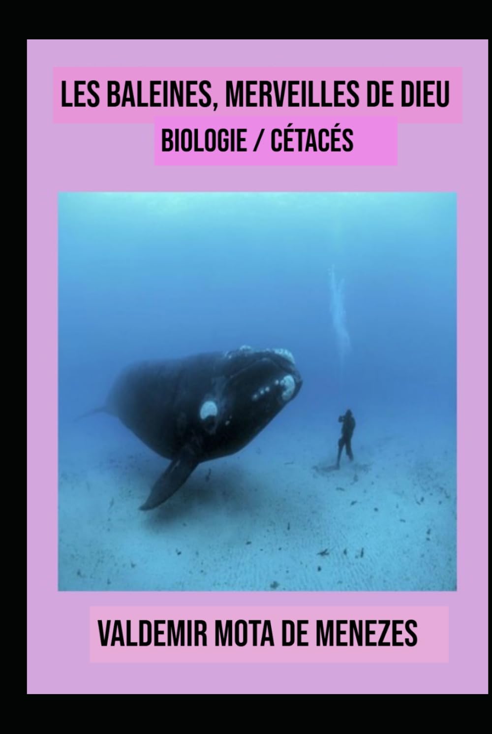 LES BALEINES – Merveilles de Dieu: biologie / cétacés