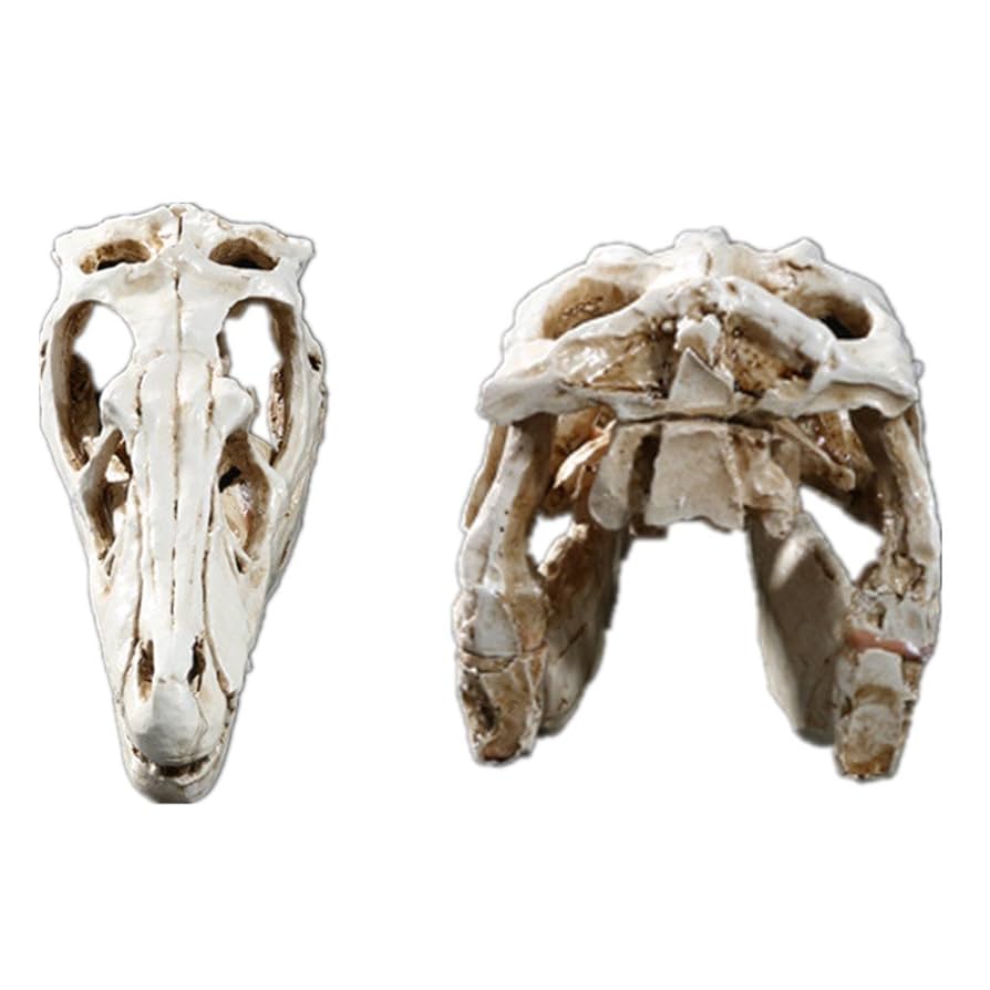 Amazon.co.jp: インテリアの装飾ハロウィーンの贈り物ラプターの